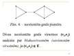 Prezentācija 'Grafu teorijas pamatjēdzieni', 15.