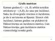 Prezentācija 'Grafu teorijas pamatjēdzieni', 43.