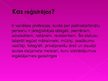 Prezentācija 'Pašnodarbinātā persona', 3.