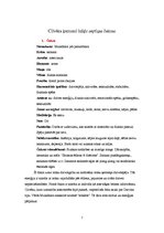 Referāts 'Čakras', 7.