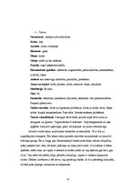 Referāts 'Čakras', 10.