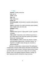 Referāts 'Čakras', 11.