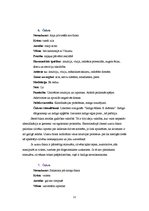 Referāts 'Čakras', 12.