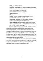 Referāts 'Čakras', 13.