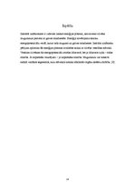 Referāts 'Čakras', 14.