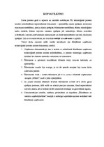 Referāts 'Ēdināšanas uzņēmuma tehnoloģiskā procesa norises dokumentu izstrāde', 39.