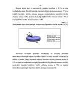 Diplomdarbs 'Iekšējais audits un kontrole kredīta izsniegšanas procesā Baltijas – Amerikas Uz', 44.