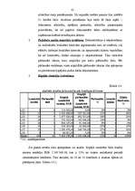 Diplomdarbs 'Iekšējais audits un kontrole kredīta izsniegšanas procesā Baltijas – Amerikas Uz', 61.