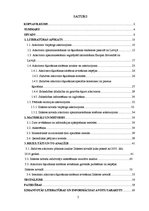 Diplomdarbs 'Ieteikumi atkritumu šķirošanas sistēmas ieviešanai Ilūkstes novadā', 2.