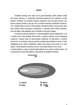 Referāts 'Bezvadu lietojuma protokols (WAP)', 6.