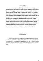 Referāts 'Bezvadu lietojuma protokols (WAP)', 10.