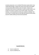 Referāts 'Bezvadu lietojuma protokols (WAP)', 19.