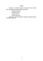 Konspekts 'Mārtiņdiena', 2.