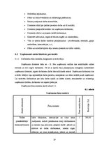 Biznesa plāns 'Biznesa plāns sporta deju zāles izveidei', 29.