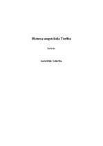 Referāts 'Līderība', 1.