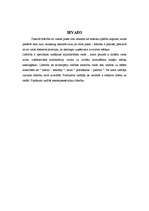 Referāts 'Līderība', 2.