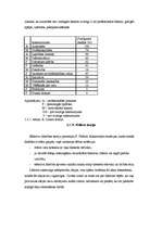 Referāts 'Līderība', 4.