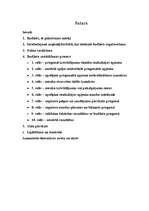 Referāts 'Budžeta sastādīšana ražošanas uzņēmumam', 2.