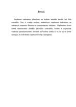 Referāts 'Budžeta sastādīšana ražošanas uzņēmumam', 3.