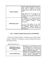 Referāts 'Budžeta sastādīšana ražošanas uzņēmumam', 8.