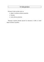 Referāts 'Budžeta sastādīšana ražošanas uzņēmumam', 13.