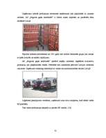 Referāts 'Cūkgaļas ražošanas attīstības iespējas Latvijā', 32.