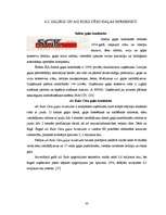 Referāts 'Cūkgaļas ražošanas attīstības iespējas Latvijā', 33.