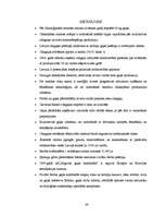 Referāts 'Cūkgaļas ražošanas attīstības iespējas Latvijā', 40.