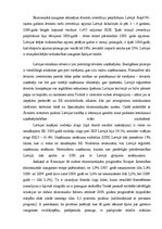 Eseja 'Ekonomiskā izaugsme - stāvoklis Latvijā', 3.