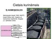 Prezentācija 'Kurināmā veidi', 7.