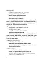 Referāts 'Reklāma un tās veidi', 5.