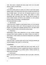 Referāts 'Reklāma un tās veidi', 17.