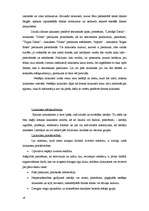 Referāts 'Reklāma un tās veidi', 19.