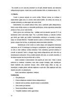 Referāts 'Reklāma un tās veidi', 20.