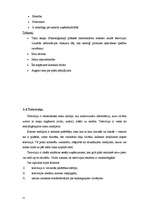 Referāts 'Reklāma un tās veidi', 21.