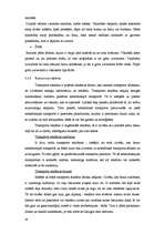 Referāts 'Reklāma un tās veidi', 26.