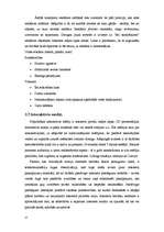 Referāts 'Reklāma un tās veidi', 27.