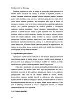 Referāts 'Reklāma un tās veidi', 28.