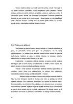 Referāts 'Reklāma un tās veidi', 29.