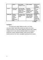 Referāts 'Reklāma un tās veidi', 31.