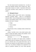 Referāts 'Politiskā vara', 7.