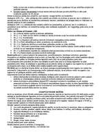 Konspekts 'Eiropas Savienības muitas likumdošana', 13.