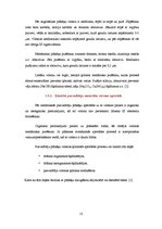 Referāts 'Mikro un nanotehnoloģijas', 13.