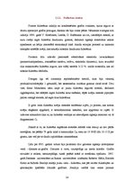 Referāts 'Mikro un nanotehnoloģijas', 24.