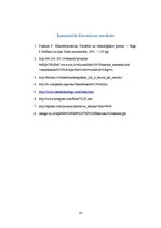 Referāts 'Mikro un nanotehnoloģijas', 33.