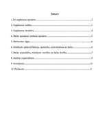 Referāts 'Darbinieku motivācijas politika uzņēmumā', 3.