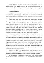 Referāts 'Medjugorje latviešu svētceļnieku liecībās', 11.