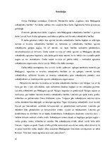 Referāts 'Medjugorje latviešu svētceļnieku liecībās', 41.