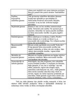 Referāts 'Ģimenes locekļu savstarpējās attiecības - bērna emocionālās veselības stabilitāt', 22.