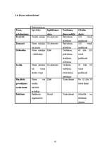 Biznesa plāns 'SIA "Lagūna" biznesa plāns', 10.